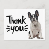 Cute French Bulldog Thank You Frenchie Puppy Dog