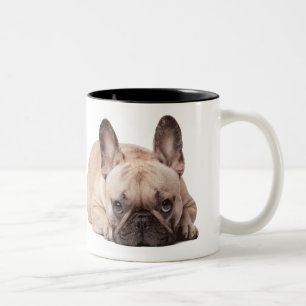 Cute French Bulldog Two-Tone Coffee Mug