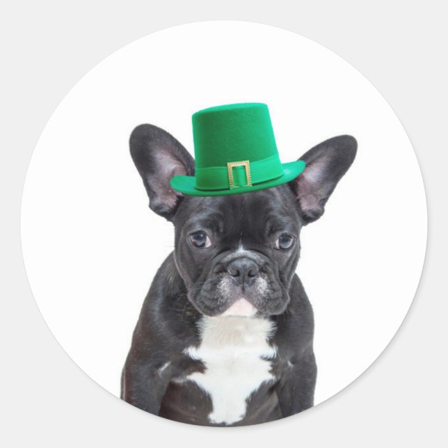 Cute French Bulldog with Hat St. Patrick's Day Classic Round Sticker (Front)