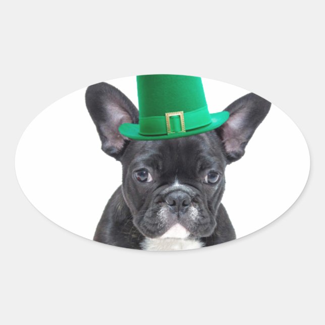 Cute French Bulldog with Hat St. Patrick's Day Oval Sticker (Front)