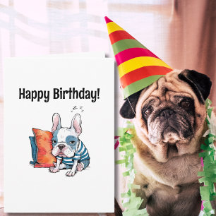 cute Frenchy pet dog,dressed animal,Funny Birthday Card