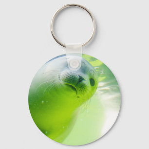 Cute Friendly Seal Underwater Key Ring
