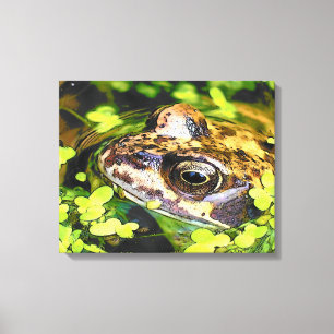 CUTE FROG CANVAS PRINT