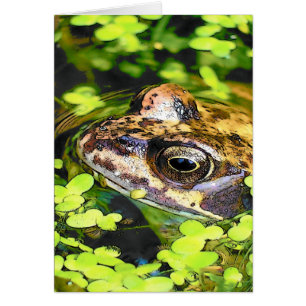 CUTE FROG CARD