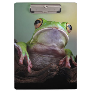 Cute Frog Clipboard