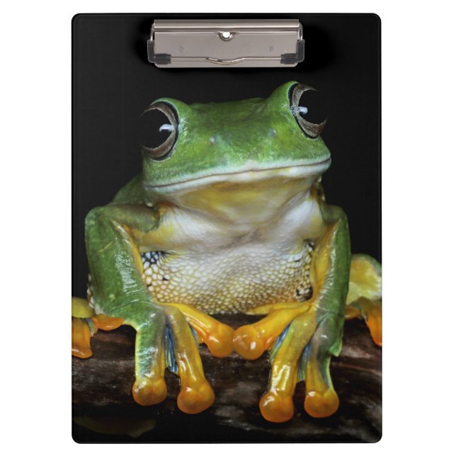 Cute Frog Clipboard (Front)