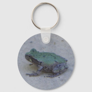 Cute frog keychain