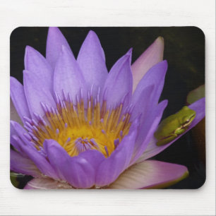 cute frog on a water lily mouse pad