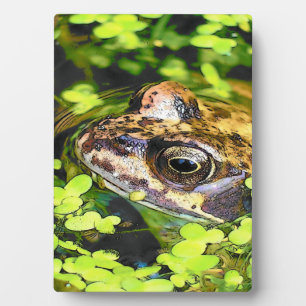CUTE FROG PLAQUE