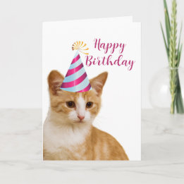 Cute From Your Pet Cat Happy Birthday Greeting Card