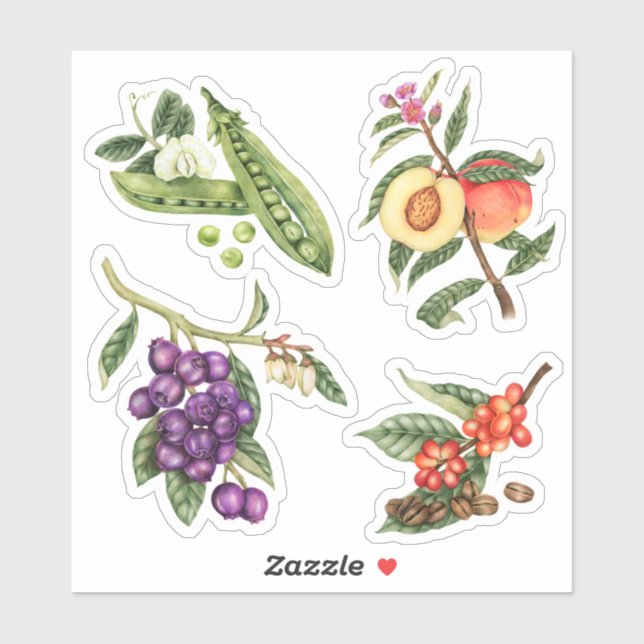 Cute Fruit (Sheet)