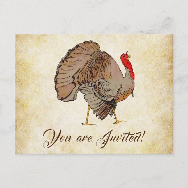 Cute Full Colour Turkey Postcard (Front)