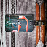 Cute fun pink flamingo birds photo custom name luggage tag<br><div class="desc">Who says flamingos can’t have fun with their favourite pal? Enjoy this entertaining image whenever you use this stunning, colourful photo personalised name luggage tag of two pink flamingos playing around. Makes a great gift for your best friend! Just type in the name of your choice and you can easily...</div>