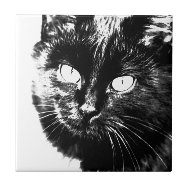 Cute Funky Black And White Cat Kitten Sketch Ceramic Tile (Front)