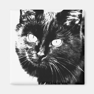 Cute Funky Black Cat Kitten Eyes Sketch Magnet