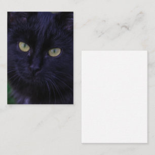 Cute Funky Black Cat Kitten Yellow Eyes Enclosure Card
