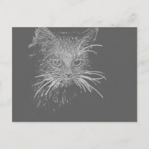Cute Funky Cat Kitten Eyes face Sketch Postcard