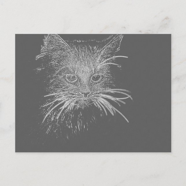Cute Funky Cat Kitten Eyes face Sketch Postcard (Front)