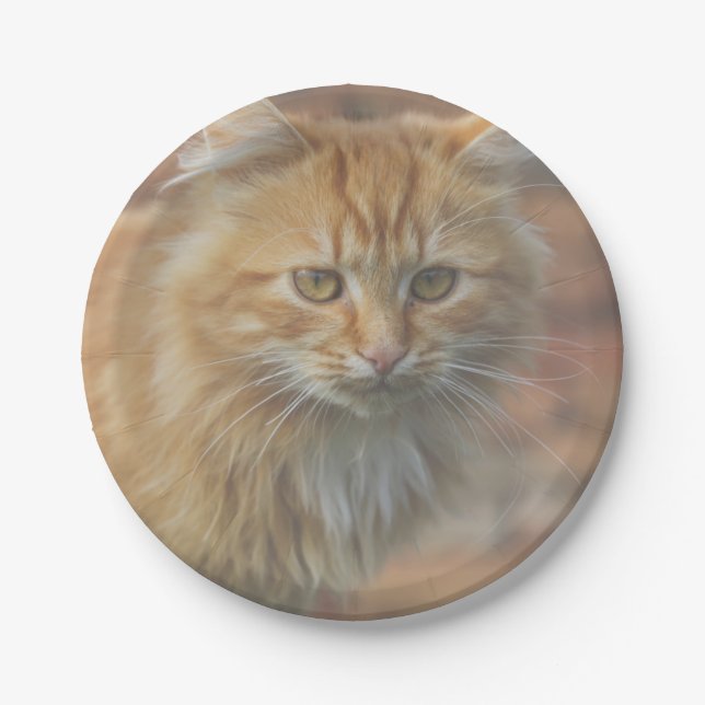 Cute Funky Ginger Cat Kitten Face Paper Plate (Front)