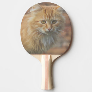 Cute Funky Ginger Cat Kitten Face Ping Pong Paddle