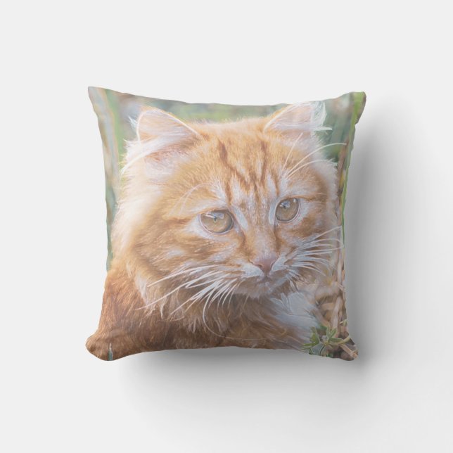 Cute Funky Ginger Cat Kitten Painting Cushion (Front)
