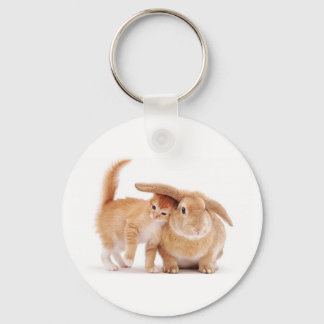 cute_funny_animals_8 kitten bunny rabbit friends key ring
