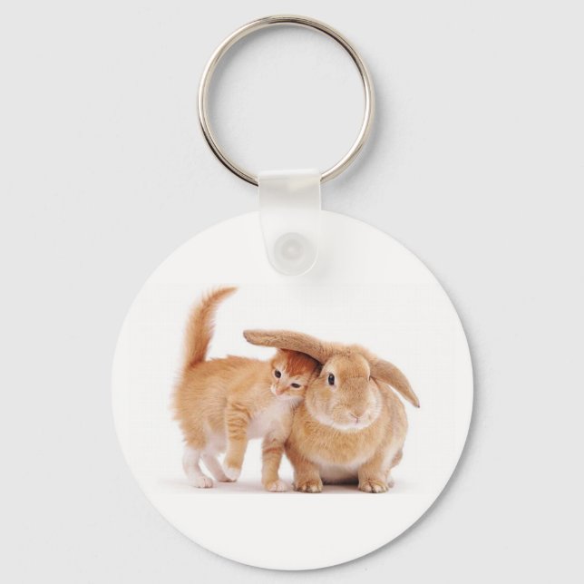 cute_funny_animals_8  kitten bunny rabbit friends  key ring (Front)