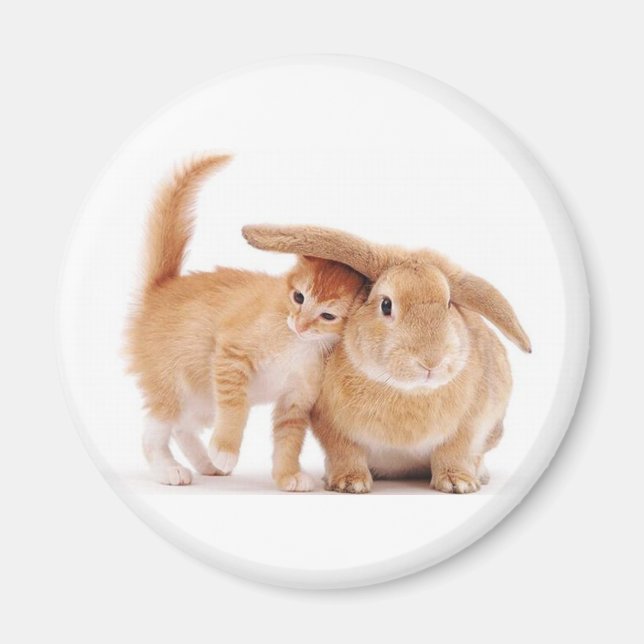 cute_funny_animals_8  kitten bunny rabbit friends magnet (Front)