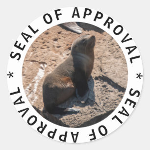 Cute funny baby seal of approval sticker