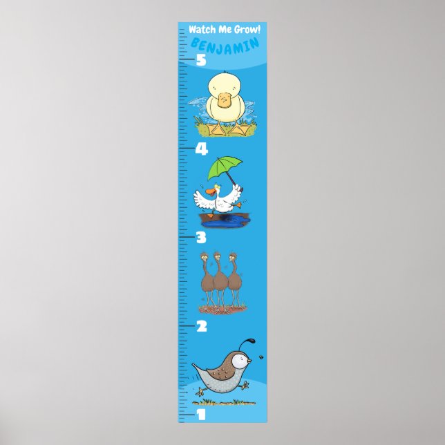 Cute funny birds cartoon growth chart (Front)
