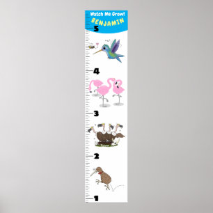 Cute funny birds cartoon growth chart