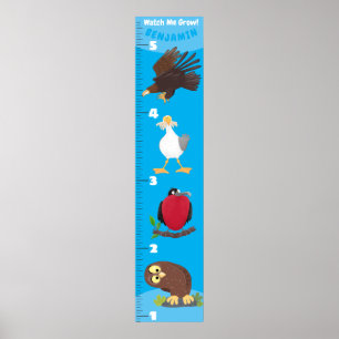 Cute funny birds cartoon growth chart