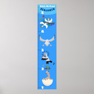 Cute funny birds cartoon growth chart