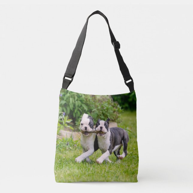 Cute funny Boston Terrier dogs puppies playing - Crossbody Bag (Front)
