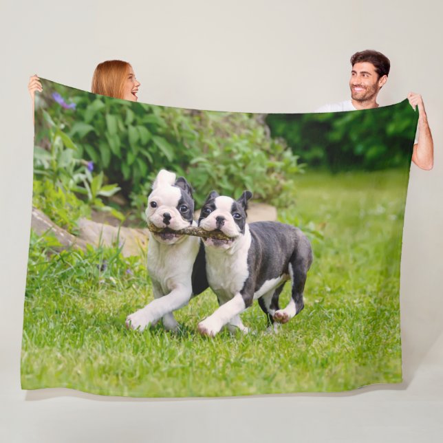 Cute funny Boston Terrier dogs puppies playing - Fleece Blanket (In Situ)