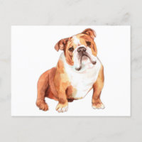 Cute funny British Bulldog sitting
