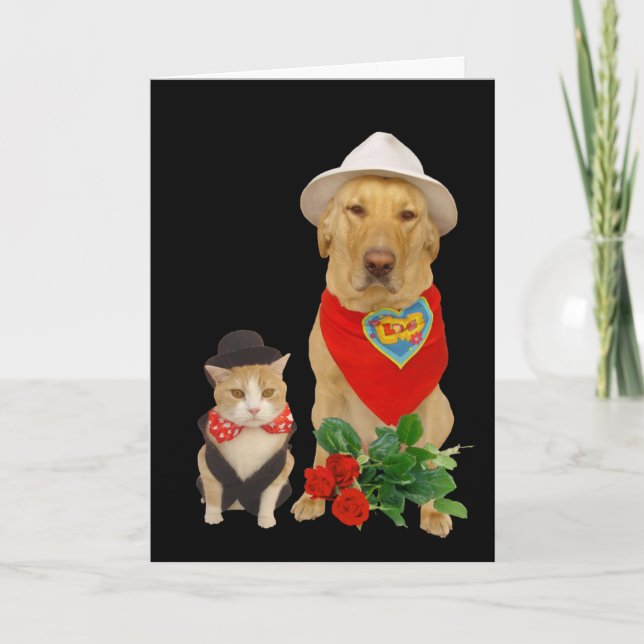 Cute, Funny Cat & Dog/Lab Valentine Holiday Card (Front)