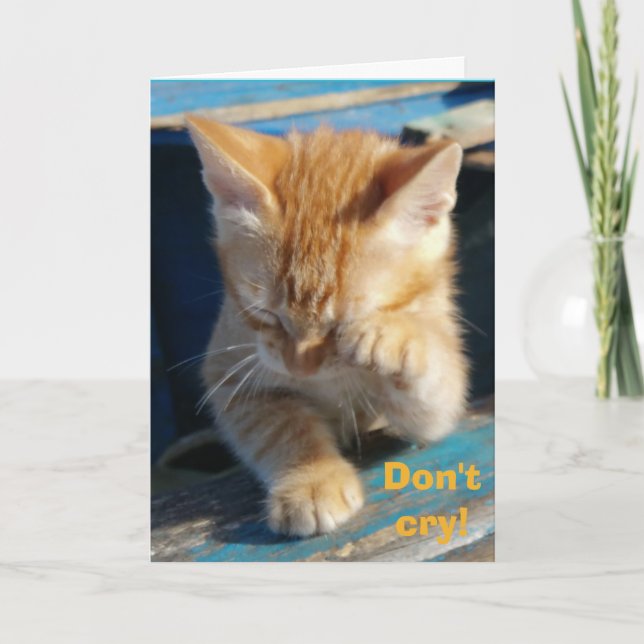 Cute Funny Cat Happy Birthday Greeting Card (Front)
