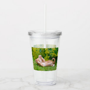 Cute funny cat kitten playing in a flowery garden acrylic tumbler
