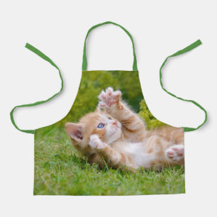 Cute funny cat kitten playing in a flowery garden apron
