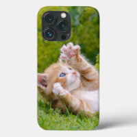 Cute funny cat kitten playing in a flowery garden 