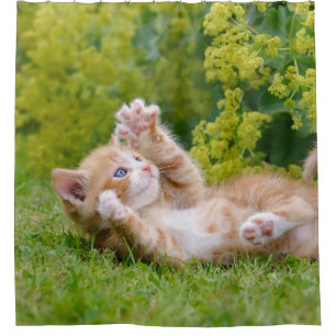 Cute funny cat kitten playing in a flowery garden shower curtain