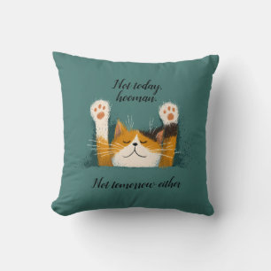 Cute Funny Cat Nap Cushion