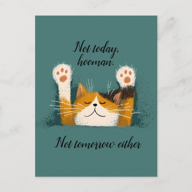 Cute Funny Cat Nap Holiday Postcard (Front)