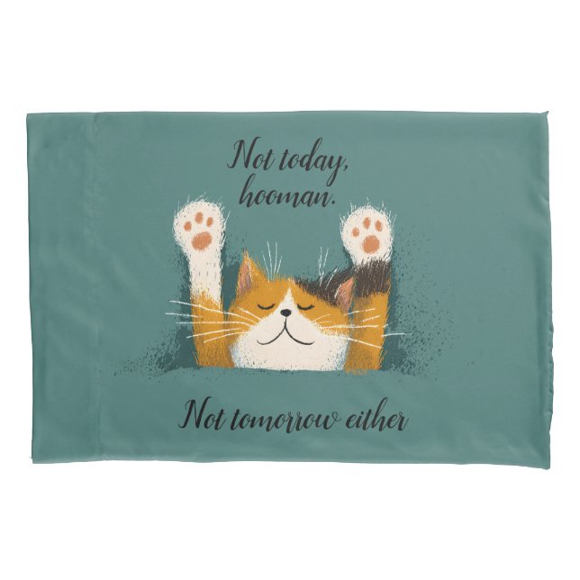 Cute Funny Cat Nap Pillowcase (Front)