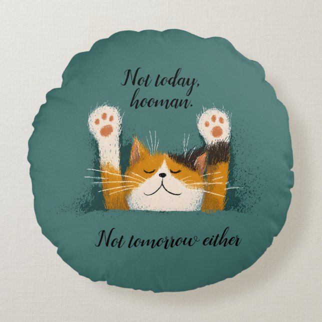Cute Funny Cat Nap Round Cushion (Front)