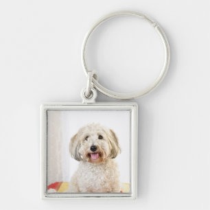 Cute Funny cat Photo Key Ring