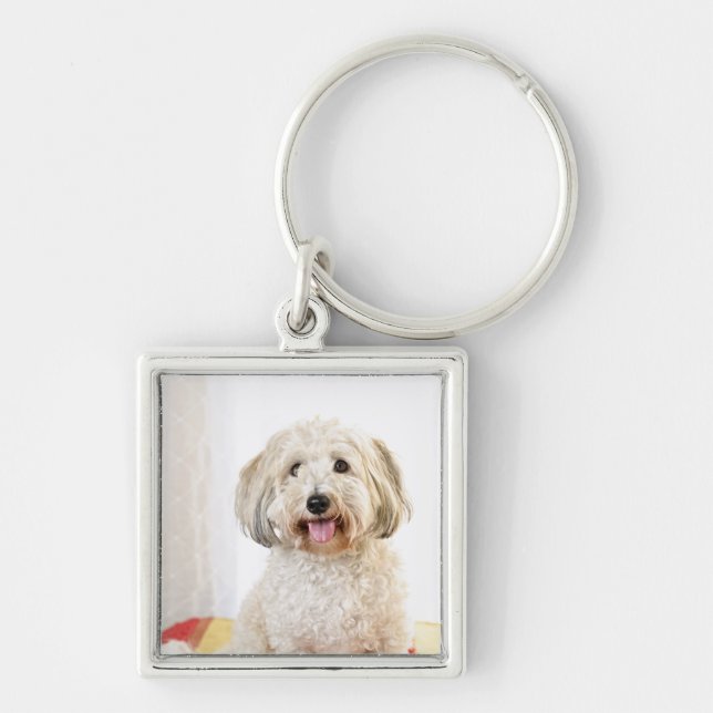 Cute Funny cat Photo Key Ring (Front)