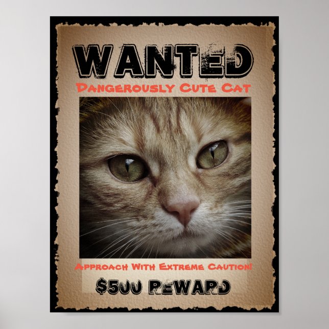 Cute Funny Cat Wanted Picture Poster (Front)