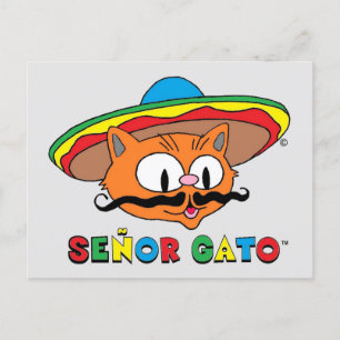 Cute Funny Colourful Cartoon Cat Cinco de Mayo Postcard